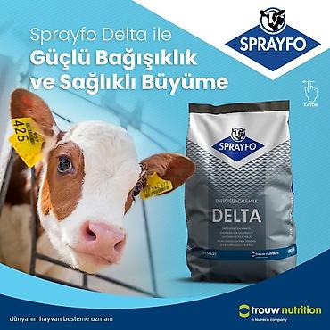 mal yemi: Sprayfo Delta buzov süd əvəzedicisi buzovların sağlam inkişafı və — 2