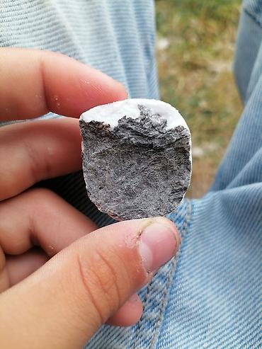 продам ворота бу: Təbii mineral nümunəsi – qara-boz matriks üzərində ağ, kristallı kvars — 1