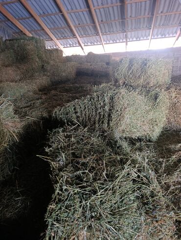 Зерновые культуры: Беде Беде Беде Клевер Клевер доставка укладка эсть. туки метровые — 6