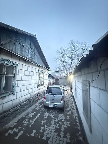 старый талчек: 17 соток, Для бизнеса, Красная книга — 2