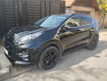 тормозной диск гигант: Kia Sportage: 2021 г., 2 л, Автомат, Бензин, Кроссовер