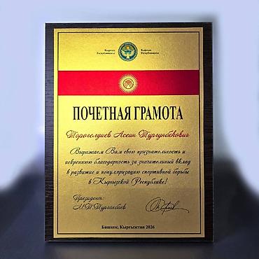 Значки, ордена и медали: Плакетки как наградная атрибутика представляет собой особый статус — 3