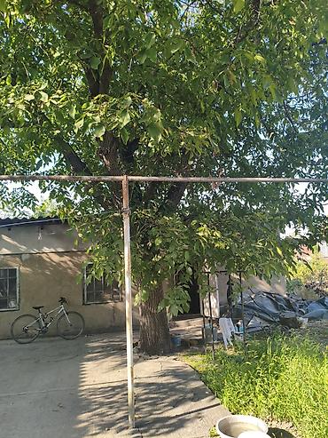 Дома: Продаётся дом с участком 12 соток! — 1