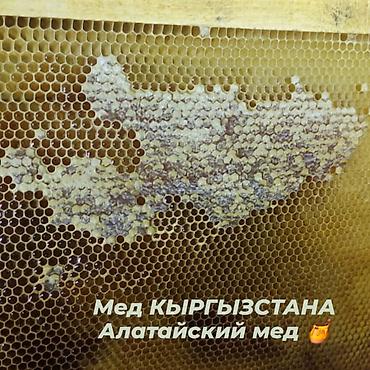 мёда гонка: Алатайский( Узун-акмат) высокогорный мёд — 100% натуральный. Богатый — 1