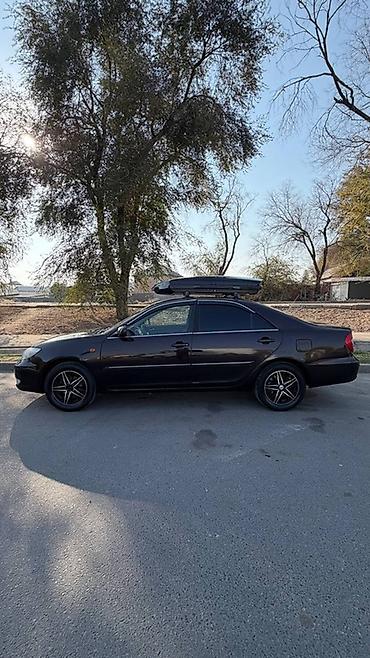 toyota cami: Toyota Camry: 2003 г., 2.4 л, Автомат, Бензин, Седан — 4