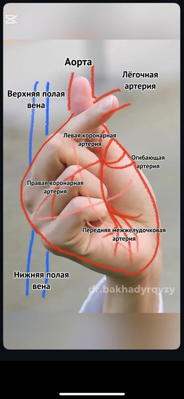 мед товар: Медсестра укол