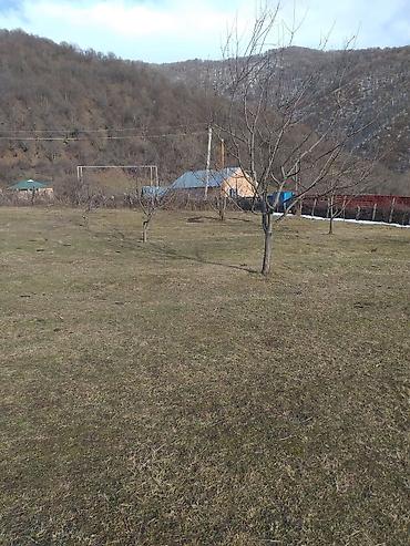 Torpaq sahələrinin satışı: Tikinti — 9