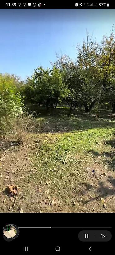 Həyət evləri və villaların satışı: Bərdə rayon muganli kendi [ 47 SOT HƏYƏTYANI SAHƏ ] — 12