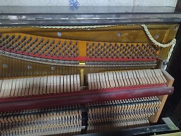 пианино купить в баку: Pianino - Korpus: klassik qara rəngli, dekorativ oyma naxışlı ön — 4