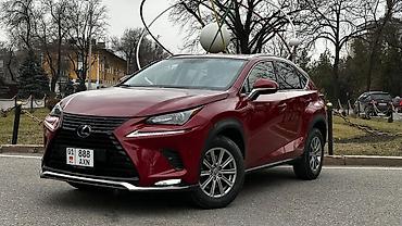 лексус нх: Lexus NX: 2017 г., 2 л, Автомат, Бензин, Кроссовер — 1