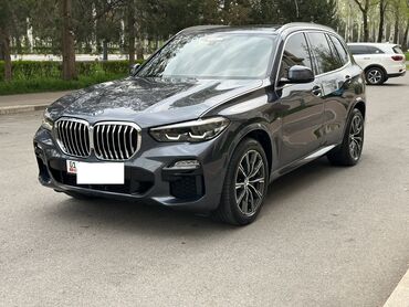 стояночный кондиционер: BMW X5: 2020 г., 3 л, Автомат, Дизель, Внедорожник