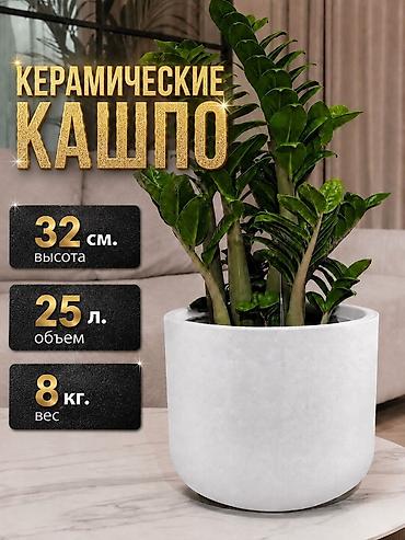 plants: ✨ Стиль Вашего Офиса/Дома/Террасы начинается с Роскошных Деталей ✨ 👉 — 6