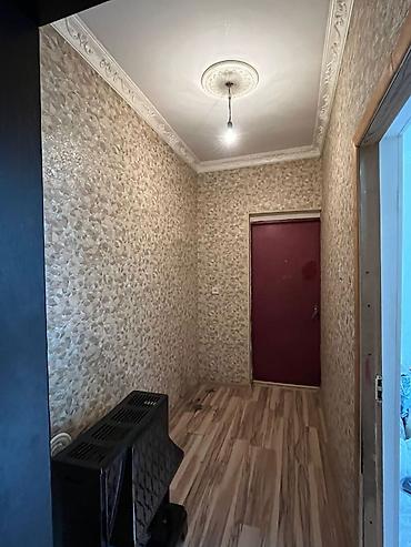 Bağ və bostan üçün digər məhsullar: Salam bələdiyyə sənəti — 2