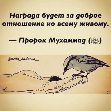 мастер маникюра и педикюра без опыта: Курулуш тегиздегич