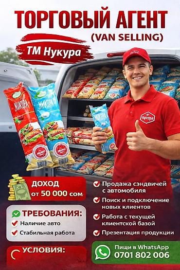 Требуется Торговый агент, График: Пятидневка, Без опыта, Оплачиваемый отпуск, Полный рабочий день