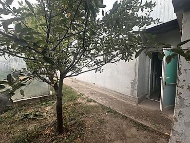 Продажа коттеджей и домов: 3 комнаты, 68 м², 8 соток, Орловка, Собственник — 19