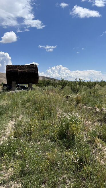 Продажа участков: 600 соток, Для сельского хозяйства, Красная книга, Тех паспорт, Договор купли-продажи — 22