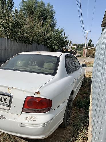 byd qin plus салон: Hyundai Sonata: 2004 г., 2.4 л, Автомат, Бензин, Седан — 4