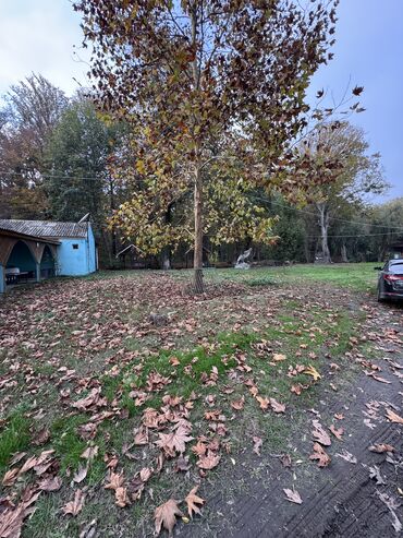 Kommersiya daşınmaz əmlakının satışı: Təcili satılır 28-sot (KUPCA CIXARIŞ TEXNİKİ PASPORT DAİMİ MÜLKİYƏT -da lalafo.az — 3 Kommersiya daşınmaz əmlakının satışı: Təcili satılır 28-sot (KUPCA CIXARIŞ TEXNİKİ PASPORT DAİMİ MÜLKİYƏT — 3