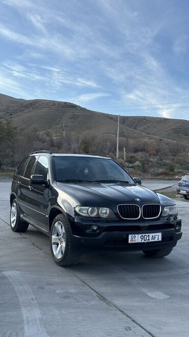 камаз аксессуары: BMW X5: 2005 г., 3 л, Автомат, Дизель, Кроссовер