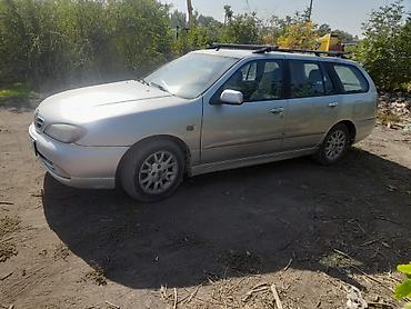 mers e class: Nissan Almera Tino/Primera (универсал), серебристый цвет, киргизские — 4