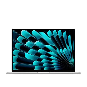 hard disk 1tb qiyməti: Apple MacBook Air 13 M4 Silver MW0X3RU/A | İstehsalçı: Apple