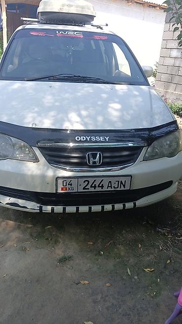 жондер прес: Honda Odyssey: 1999 г., Минивэн — 5