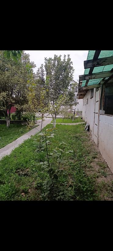 Продажа дачи: 3 комнаты, 90 м² — 17