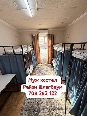 Аренда отелей и хостелов: Халал-хостел — удобные койко-места в общих комнатах с двухъярусными — 1