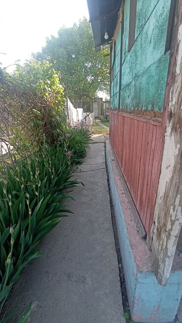 Долгосрочная аренда домов: Дом Село достук 8-я линия д 32 кирпич з комнаты отопление печное — 10