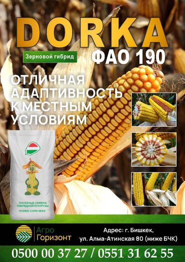 семена веника: Уруктар: Жүгөрү, Өзү алып кетүү