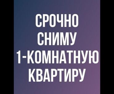 Сниму квартиру: 1 комната, 40 м², С мебелью