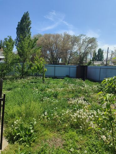 купить участок для строительства дома: 3 соток, Курулуш, Кызыл китеп