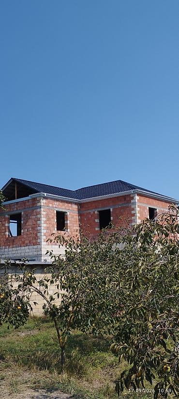 yeni il səkilləri yolka: DAM VƏ NAVESLƏRİN YIĞILMASI! 🏗️ Evinizə və həyətinizə möhkəmlik — 5