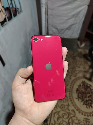 Apple iPhone: IPhone SE 2020, Qırmızı — 7