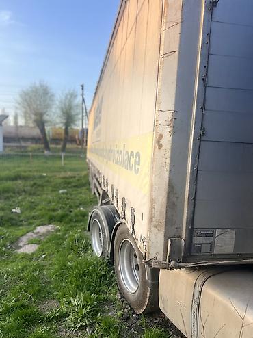 Тягачи: Тягач, DAF, 2003 г., Шторный — 6