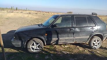 меняю на гольф 2: Volkswagen Golf: 1994 г., Хэтчбэк — 1