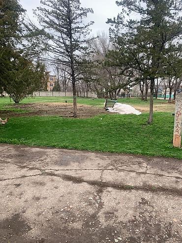 Продажа участков: 90 соток, Для бизнеса, Красная книга — 4