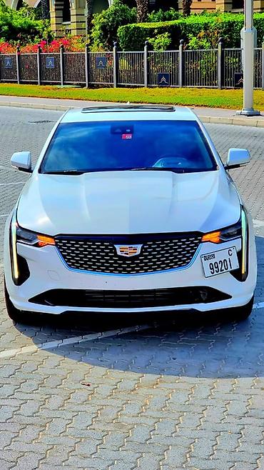 cadillac escalade: Cadillac : 2021 г., 2 л, Автомат, Бензин, Седан — 1