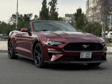 Ford: Ford Mustang: 2018 г., 2.3 л, Автомат, Бензиновая, Кабриолет — 2