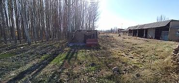 Продажа участков: 65 соток, Для бизнеса, Красная книга — 4