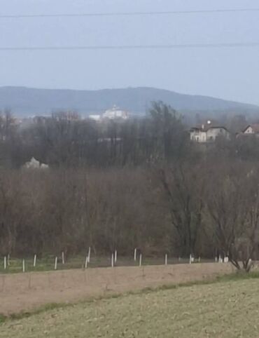 Prodaja zemljišta: 38 ares, Vlasnik — 2