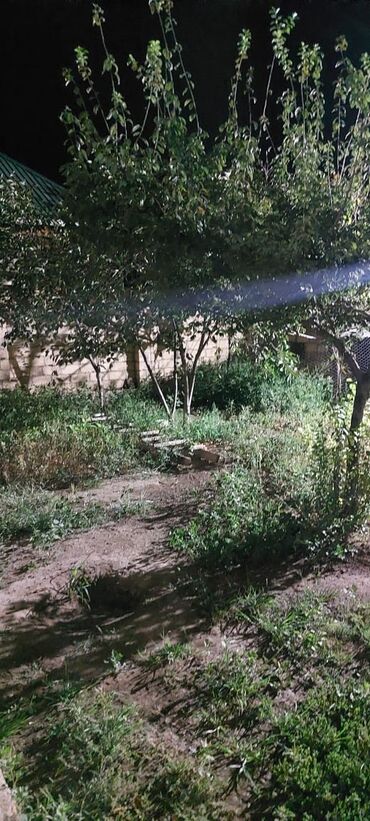 Yeni tikili: 2 otaqlı, Yeni tikili, 200 kv. m -da lalafo.az — 2 Yeni tikili: 2 otaqlı, Yeni tikili, 200 kv. m — 2