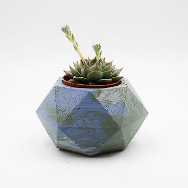 ev bitkisi: Beton sukulent qabı – çoxbucaqlı dizayn - Material: yüksək möhkəmliyə — 2