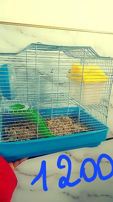 Зоотовары: Клетки очень дешево. распродаю остатки. цены от 500 до 1200 сом — 2