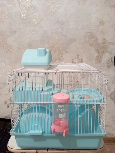 большая клетка для морской свинки: Kiçik heyvanlar üçün qəfəs – xəz dərili gəmiricilər (xamster, siçan və