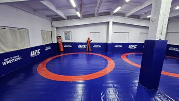 Боксерские груши: Опиркотный Мишок боксёрский Мишок борсёвский Мата Ковёр Покрито — 25