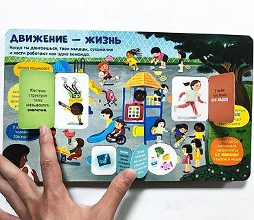мозг: Книга с окошками «Тело человека» (издательство Clever) - Формат — 7
