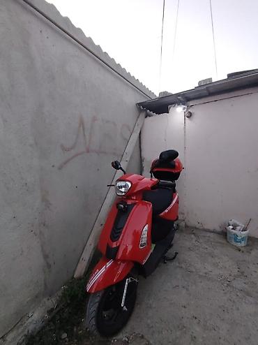 debilqe: Qırmızı skuter – şəhər içi rahat və iqtisadi nəqliyyat - Rəng: parlaq — 2