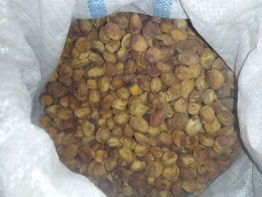 клубника кочот сатылат: ЛЕЙЛЕКСКИЙ КАК, КУРГАК ӨРҮК Сушеные абрикосы, или курага, представлены